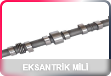 Standard Excavator